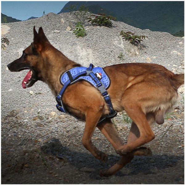 

dog collars & leashes harness no-pull reflective breathable adjustable pet vest with handle outdoor walking - no more pulling tugging or cho
