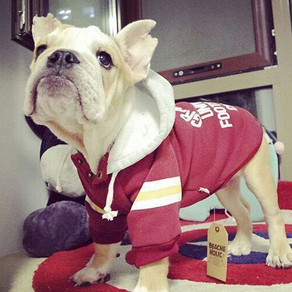 

pet cloth spring dog pullover letter hoodie coat
