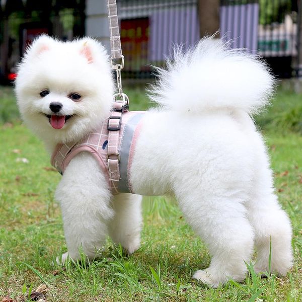 

dog collars & leashes adjustable breathable puppy mesh harness soft leash for small medium dogs vest chihuahua chest straps pet accessorie