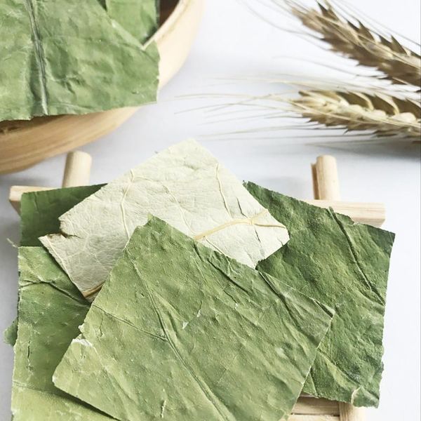 

decorative flowers & wreaths 2021 china weishanhu natural organic wild lotus leaf with relieve stress chinese pieces beauty slimming dried f
