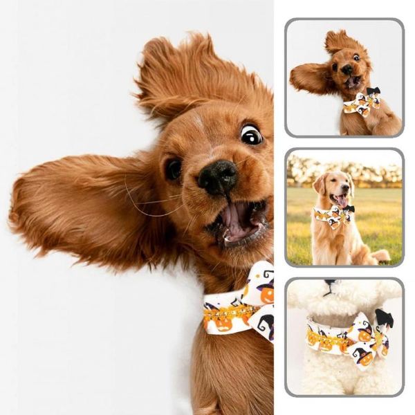 

cat collars & leads accessory 1set fashionable pet costume pumpkin print kitten fade-less for festival