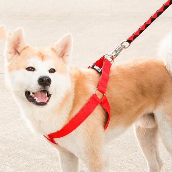 

dog collars & leashes venxuis adjustable cat rope belt collar jean denim harness vest with leash dogs and set for pet