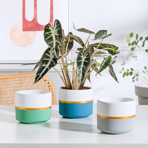

planters & pots nordic splicing double color white flower pot ceramic vase succulent planter green plants flowerpot with tray