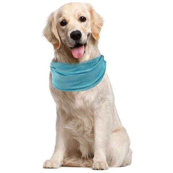 

dog apparel cooling bandana, pet collar for summer, instant neck scarf- large