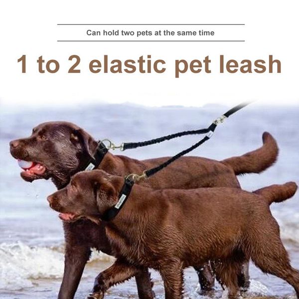 

dog collars & leashes 1 pcs pet lead leash traction rope splitter to 2 double way elastic outdoor mumr999