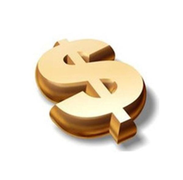 

special link to pay the extra fee for dear customers