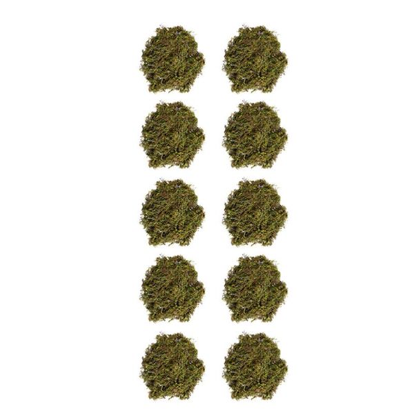 

10pcs useful natural dried moss decor home flowerpot ornamental material decorative flowers & wreaths