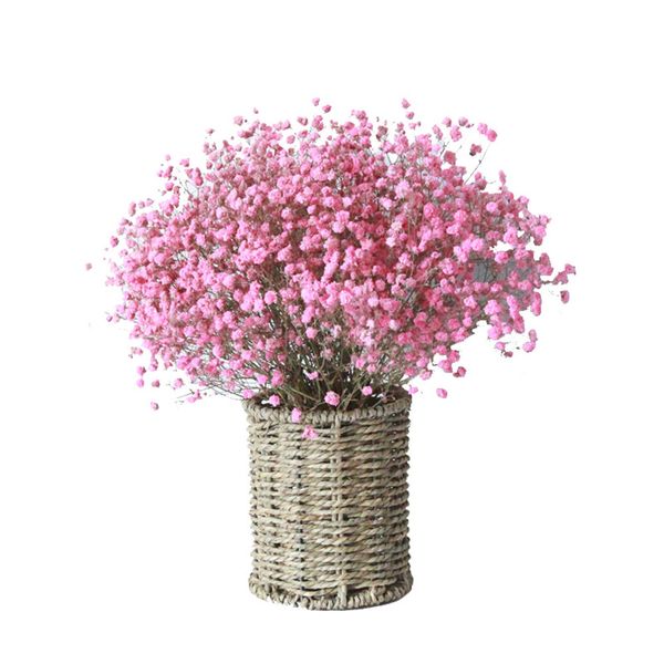 

natura fresh dried preserved fowers gypsophia panicuatababys breath fower bouquets gift for wedding decorationhome decor