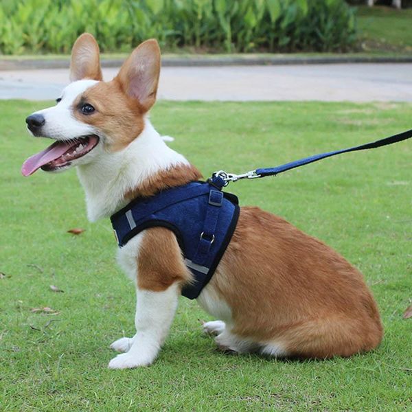 

dog collars & leashes cat adjustable harness and leash set puppy mesh vest walking lead dogs collar for small medium