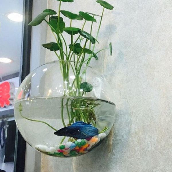

vases eroupean glass hydroponic wall flower vase green plants home hanging decoration fish tank crafts nordic pot gift