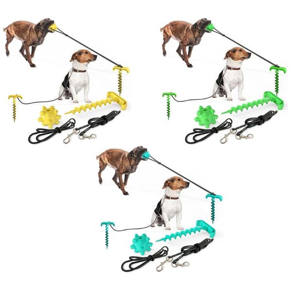 

cat collars & leads chain for camping backyard dog tie out cable and sturdy stake chew toy t21c