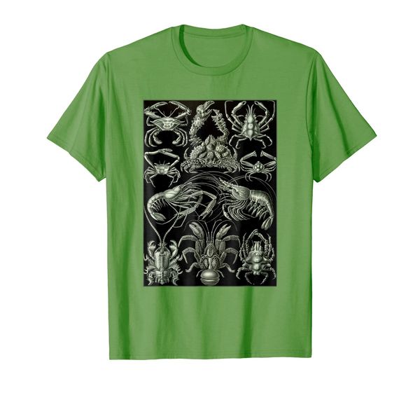 

crab shrimp marine biology science illustration fisherman, White;black