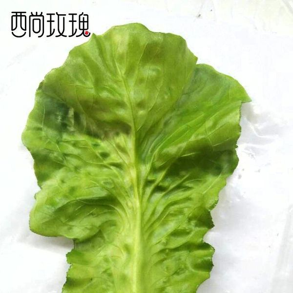 

vegetable imitation model lettuce el dishes decorations and ornaments green vegetables leaves pographic prop decorative flowers & wreat wrea