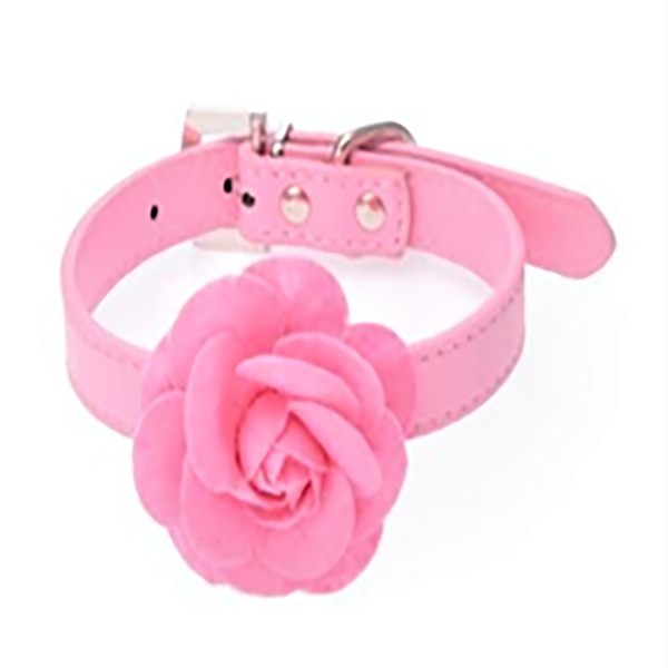 

dog collars & leashes spot second hair fashion rose pet collar a cloth flower with cat various colors