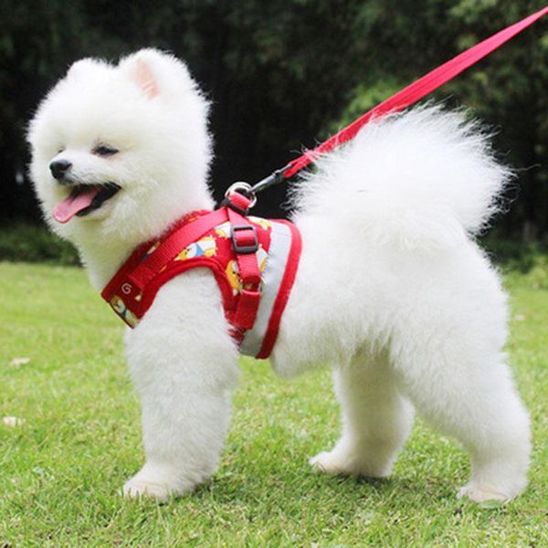 

dog collars & leashes 2021 luxury fashion harness breathable comfortable durable dogs cats breast band leash walking running arnes perro peq