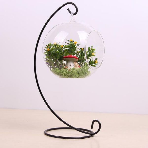 

vases 4pcs creative clear glass ball vase micro landscape air plant terrarium succulent hanging flowerpot container