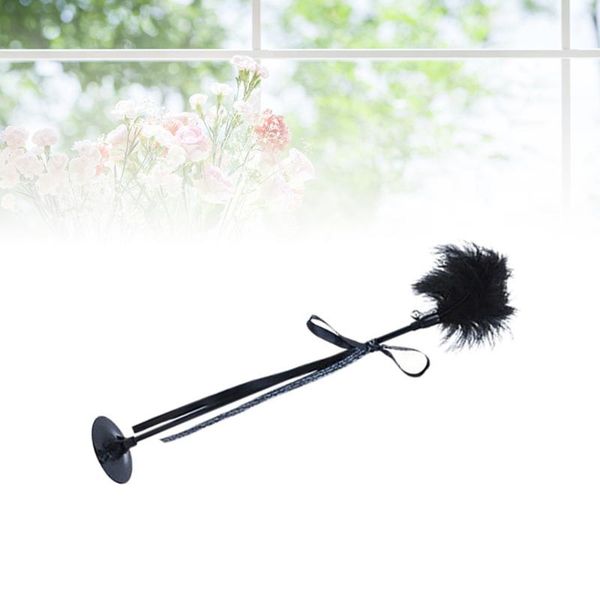 

cat feather bar funny interactive sucker teaser for pet animal (black) toys