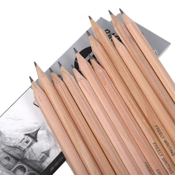 

12pc gift hexagon log set professional drawing art sketch pencil pencils