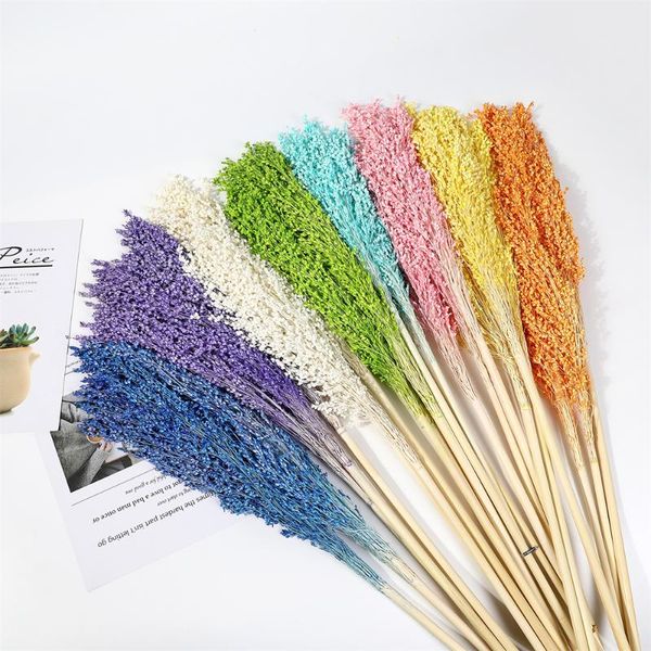 

decorative flowers & wreaths 1branch colorful natural dried flower sorghum decor real broom for home wedding arrangement