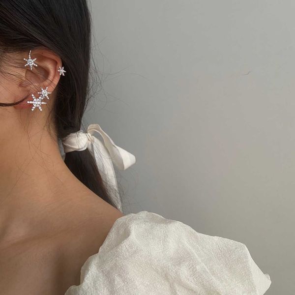 

233 earrings with no holes in the ear design, Silver