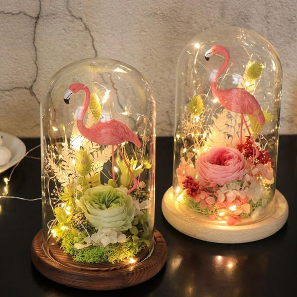 

glass cloche micro landscape diy holder vase succulent terrarium with base vases