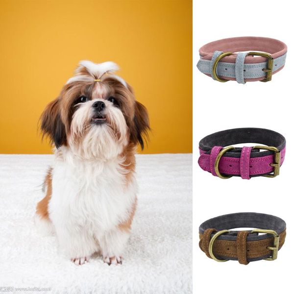 

traditional brown/red/blue adjustable leather pet dog collar collars & leashes