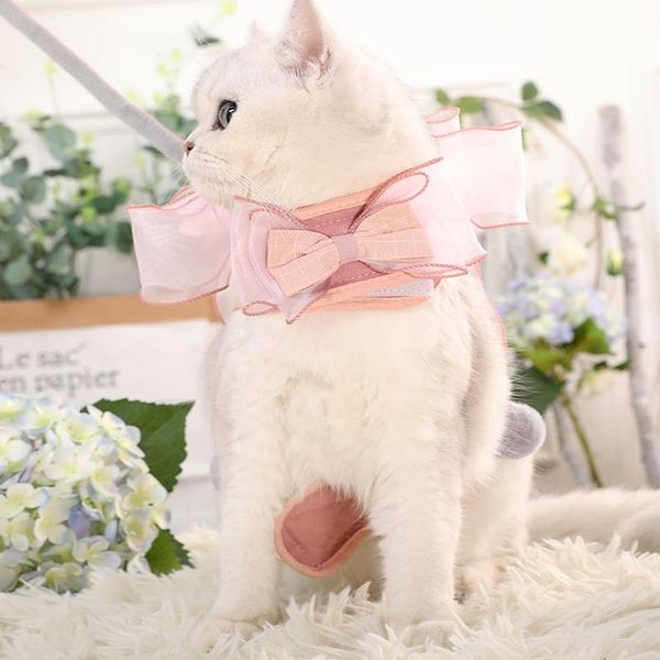 

dog collars & leashes jormel pet cat harness for small medium vest bow tie collar puppy traction rope outdoor chest strap