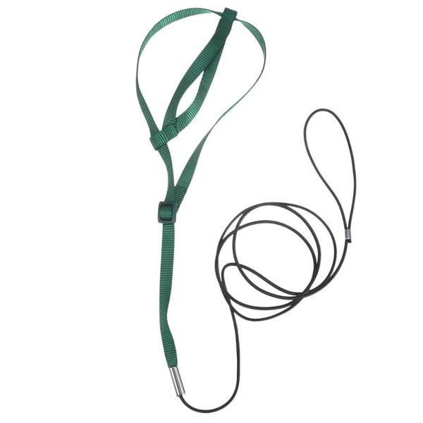 

other bird supplies harness leash adjustable training design nylon rope
