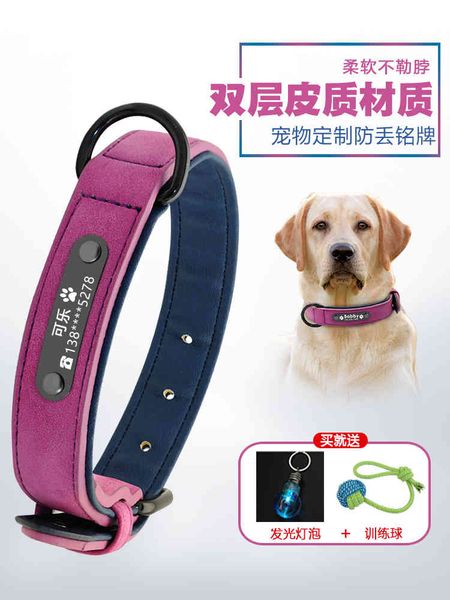 

husky identity brand neckband gold pet large dog collar hair neck dog tag fight
