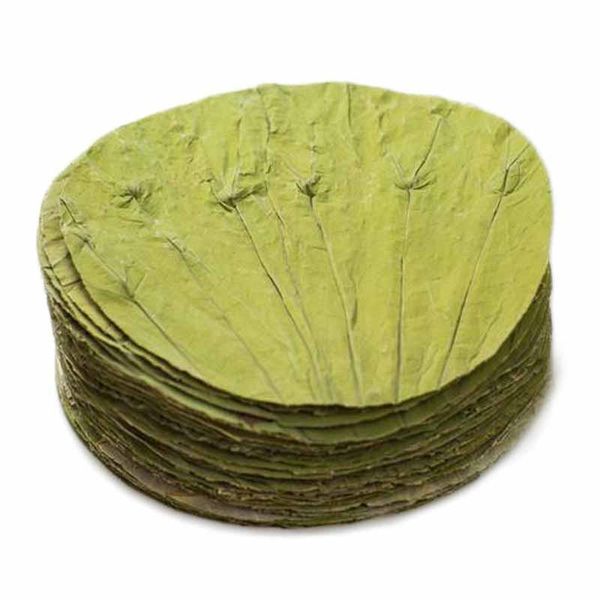

decorative flowers & wreaths 30pcs pure natural dried round lotus leaf 9-26cm color
