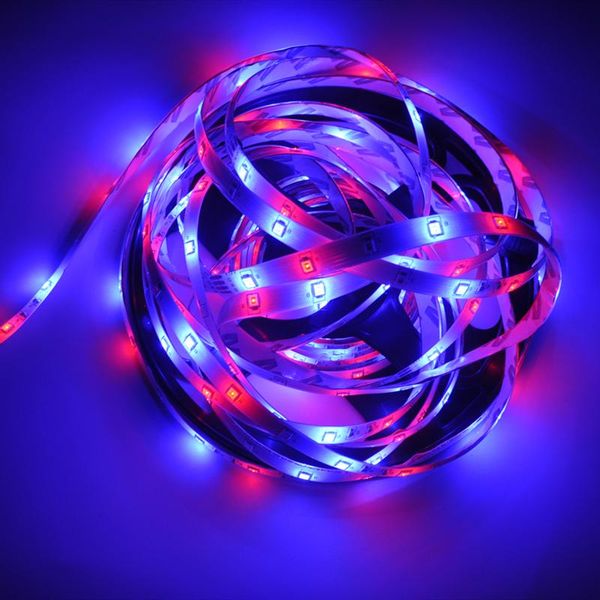 

strips bluetooth iuces led rgb 2835 waterproof flexible lamp tape ribbon diode dc12v for holidayswifi lights