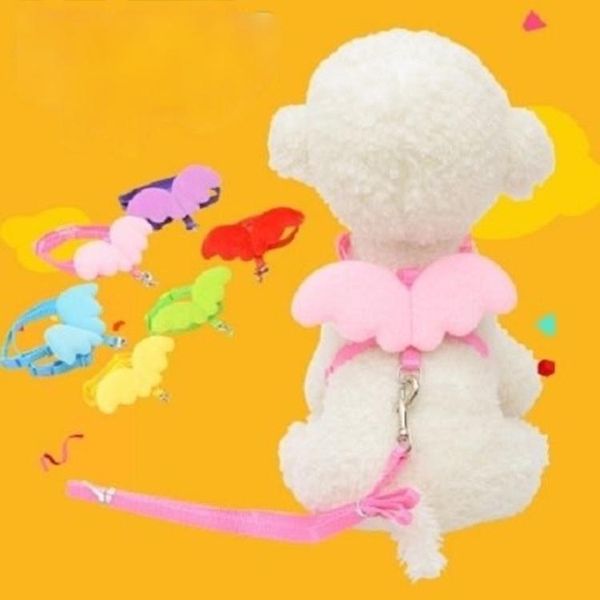 

dog collars & leashes traction rope pet angel love wings chest with supplies accessories stuff