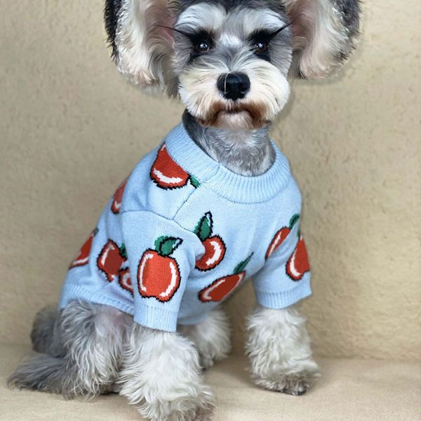 Apple jacquard cão vestuário filhote de cachorro teddy schnauzer tricotado blusas de moda carta azul animal suéter
