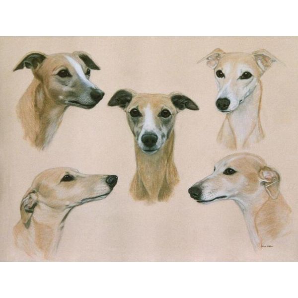 

diamond painting whippet 5d diy full square picture of rhinestone 3d embroidery sale mosaic home decor wholesale fg1225