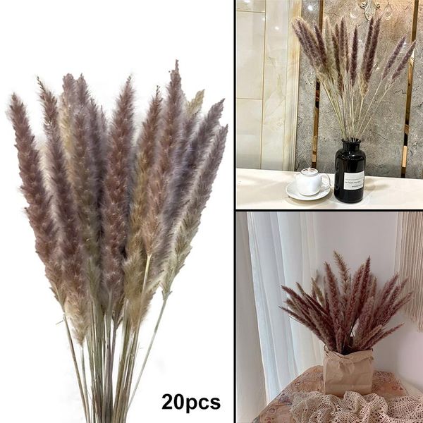 

decorative flowers & wreaths plant decoration reed small pampas white dried air-dried display props sale