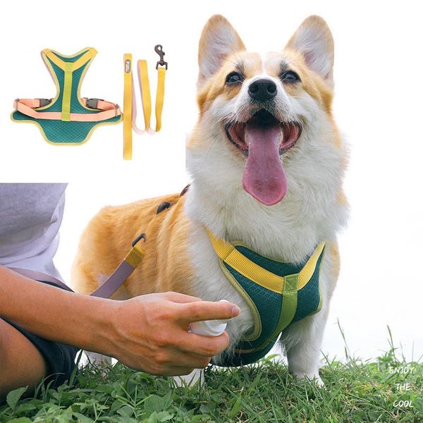 

pet breast strapsdog leashesdog chainsdog straps collarspet supplies collar harness fashion seat belt dog collars & leashes