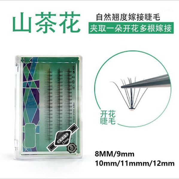

pteris clouds hair 10d mink lashes flat individual false eyelash extension thick fake eye lash 8mm to 12 mm1