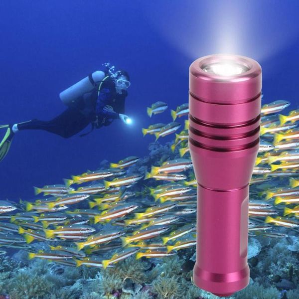 

hiking aluminum alloy high bright led 50m waterproof fill lamp for diving pograph magnetic flashlights torches