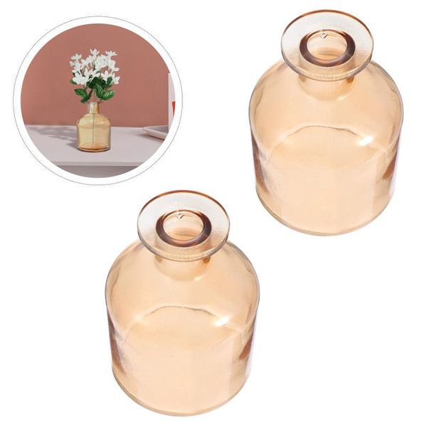 

storage bottles & jars 2pcs household simple decorative glass hydroponic vases for home use