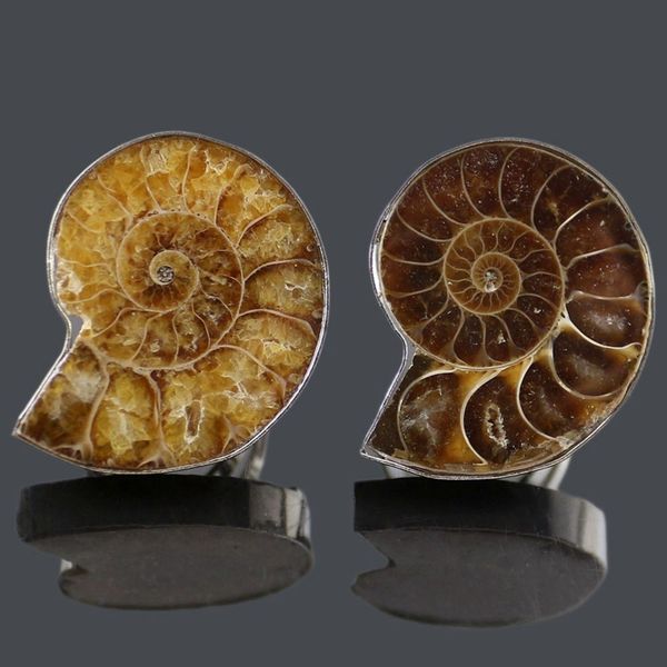 Conchiglie naturali Conchiglie Anelli Aura regolabili Forma di lumaca Conchiglia-fossile Personalità Anello di moda Conchiglia maculata Fascino Reiki Heal Jewelry