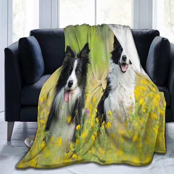 

blankets border collie dog flannel fleece throw blanket living room bedroom sofa couch warm soft bed for kids adults all season