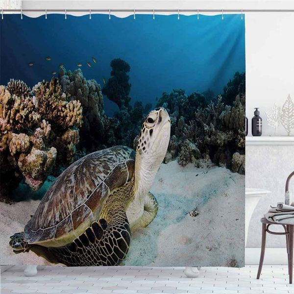

turtle shower curtains for bathroom sets underwater sea animal on coral reef in red sea egypt amphibian exotic nature