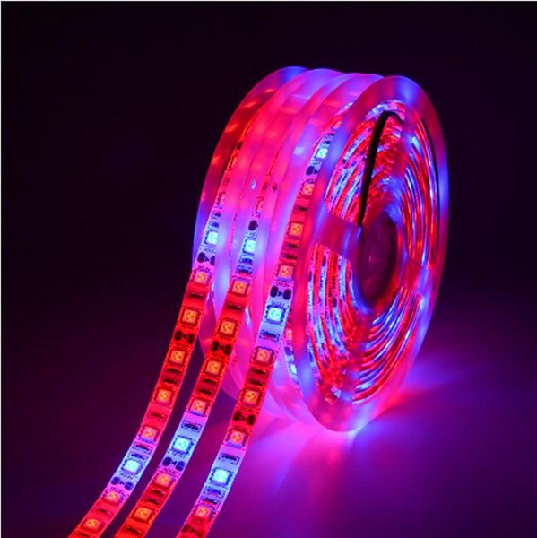 

strips led grow strip light 12v 300leds 5m plant lamp full spectrum phyto for indoor vegetable flower seedling