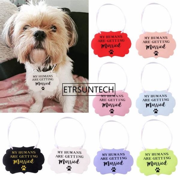 

dog tag,id card 100pcs pet cat marry tag flower terms listing headwear accessory wedding decotarion anniversary