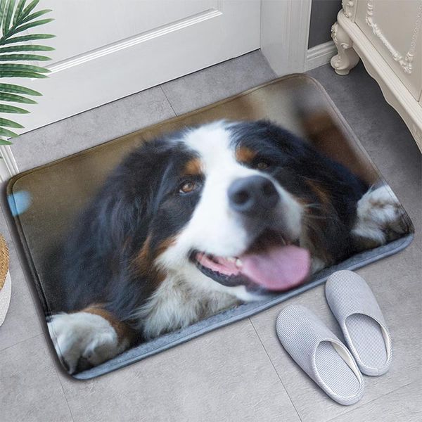 

carpets bernese mountain dog floor rug doormat carpet bedroom kitchen living child boy play non-slip mat gift room home decor