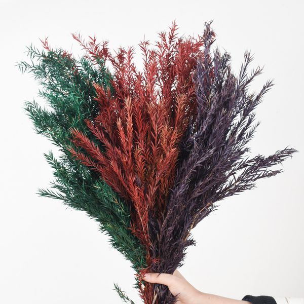 

green plants melaleuca gold eternal flower valentines day birthday gift diy material wedding party decoration craft home decor