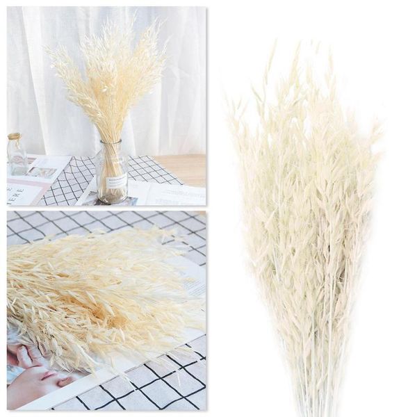 

50pcs bunch dried oatmeal flowers artificial home party decoration craft for wedding scrapbook flower decor bouquet r7h8 decorative & wreath