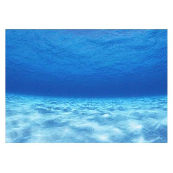 

aquarium poster, reptile habitat, terrarium background, seawater,(6 sizes) decorations