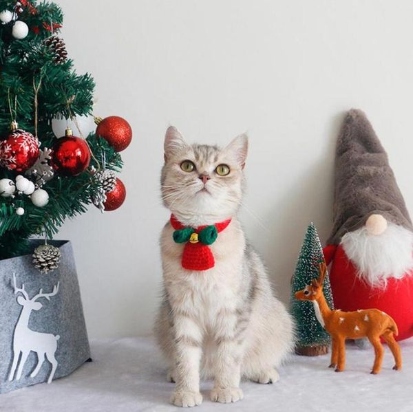 

cat costumes dog collar handmade wool knitting pet necklace christmas with bell scarf accessories