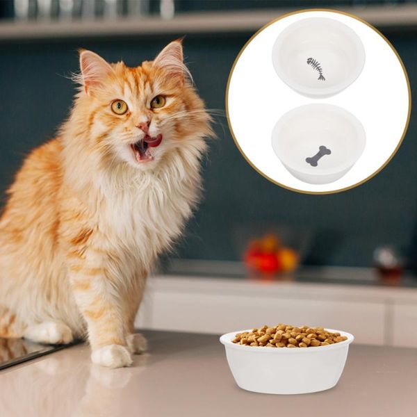 

2pcs creative cat feeder puppy bowls ceramic pet feeding drinking & feeders
